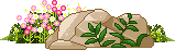 plants